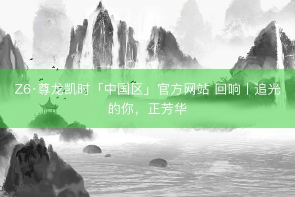 Z6·尊龙凯时「中国区」官方网站 回响丨追光的你，正芳华