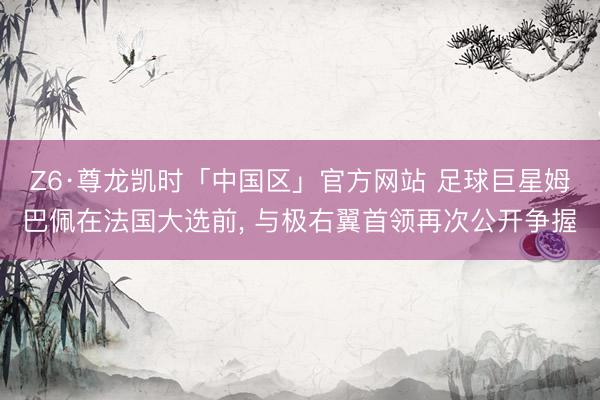 Z6·尊龙凯时「中国区」官方网站 足球巨星姆巴佩在法国大选前, 与极右翼首领再次公开争握