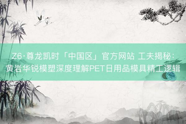 Z6·尊龙凯时「中国区」官方网站 工夫揭秘：黄岩华锐模塑深度理解PET日用品模具精工逻辑