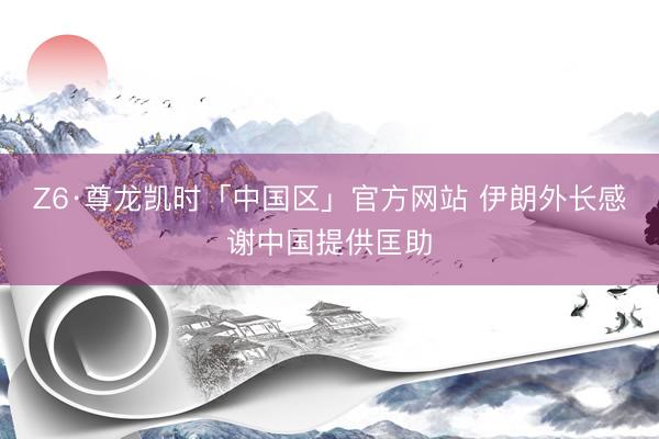 Z6·尊龙凯时「中国区」官方网站 伊朗外长感谢中国提供匡助