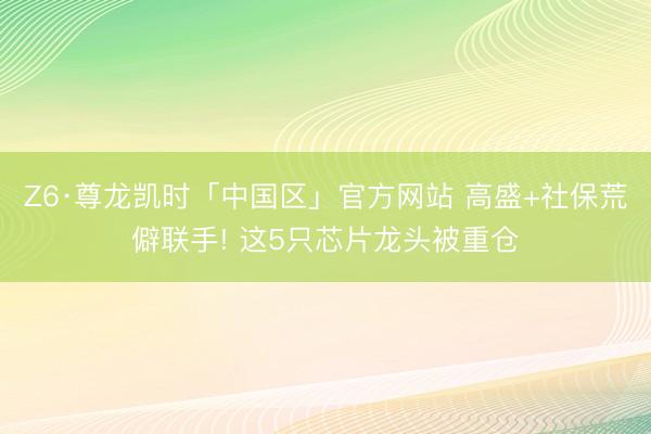 Z6·尊龙凯时「中国区」官方网站 高盛+社保荒僻联手! 这5只芯片龙头被重仓