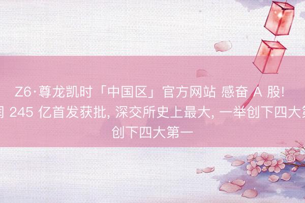 Z6·尊龙凯时「中国区」官方网站 感奋 A 股! 华润 245 亿首发获批， 深交所史上最大， 一举创下四大第一