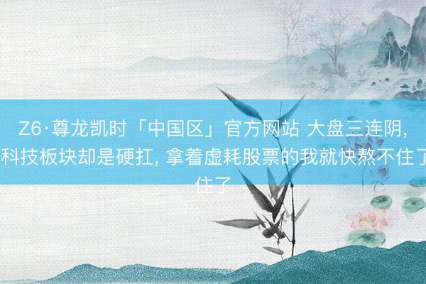 Z6·尊龙凯时「中国区」官方网站 大盘三连阴， 科技板块却是硬扛， 拿着虚耗股票的我就快熬不住了