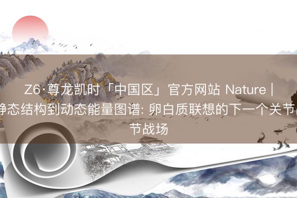 Z6·尊龙凯时「中国区」官方网站 Nature | 从静态结构到动态能量图谱: 卵白质联想的下一个关节战场