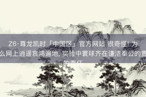 Z6·尊龙凯时「中国区」官方网站 很奇怪! 为什么网上逍遥哀鸿遍地， 实验中寰球齐在谦洁奉公的责任
