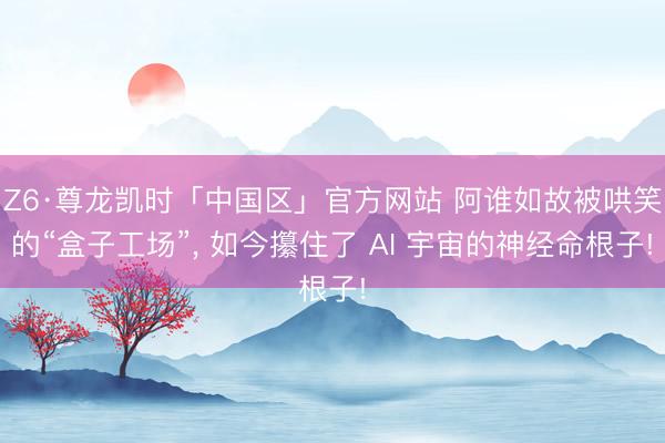 Z6·尊龙凯时「中国区」官方网站 阿谁如故被哄笑的“盒子工场”， 如今攥住了 AI 宇宙的神经命根子!
