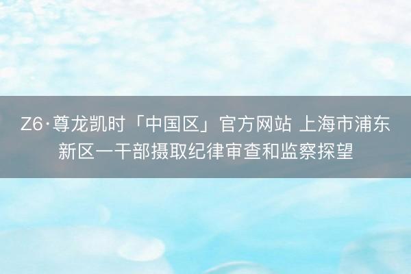 Z6·尊龙凯时「中国区」官方网站 上海市浦东新区一干部摄取纪律审查和监察探望
