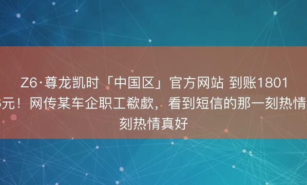Z6·尊龙凯时「中国区」官方网站 到账18013.56元！网传某车企职工欷歔，看到短信的那一刻热情真好