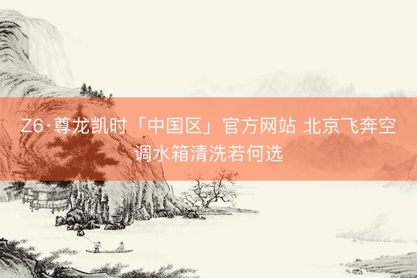 Z6·尊龙凯时「中国区」官方网站 北京飞奔空调水箱清洗若何选