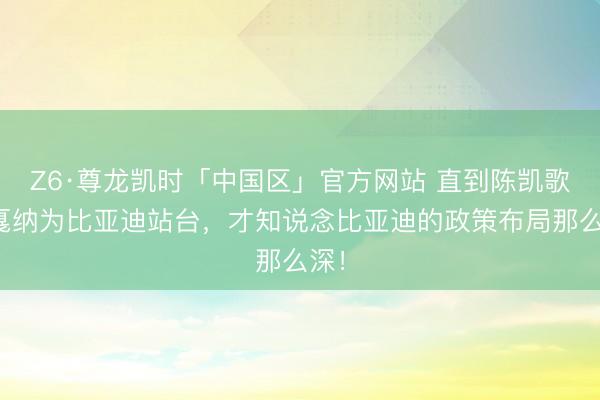 Z6·尊龙凯时「中国区」官方网站 直到陈凯歌在戛纳为比亚迪站台，才知说念比亚迪的政策布局那么深！