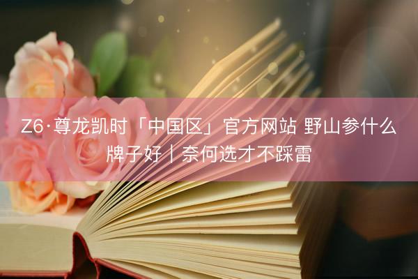 Z6·尊龙凯时「中国区」官方网站 野山参什么牌子好｜奈何选才不踩雷