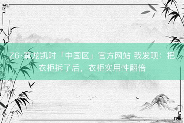 Z6·尊龙凯时「中国区」官方网站 我发现：把衣柜拆了后，衣柜实用性翻倍