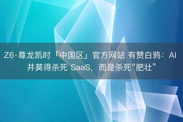 Z6·尊龙凯时「中国区」官方网站 有赞白鸦：AI 并莫得杀死 SaaS，而是杀死“肥壮”