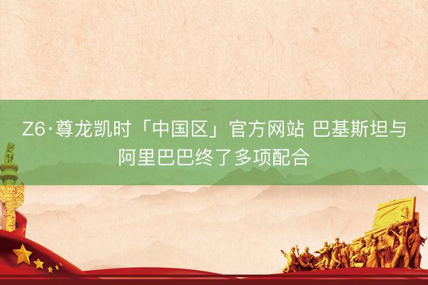 Z6·尊龙凯时「中国区」官方网站 巴基斯坦与阿里巴巴终了多项配合
