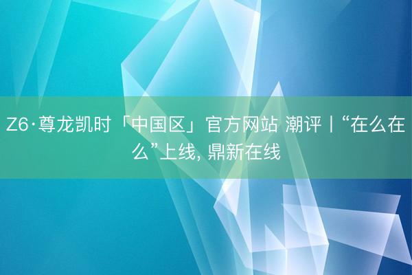 Z6·尊龙凯时「中国区」官方网站 潮评丨“在么在么”上线， 鼎新在线