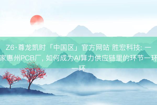 Z6·尊龙凯时「中国区」官方网站 胜宏科技: 一家惠州PCB厂， 如何成为AI算力供应链里的环节一环
