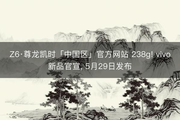 Z6·尊龙凯时「中国区」官方网站 238g! vivo新品官宣， 5月29日发布