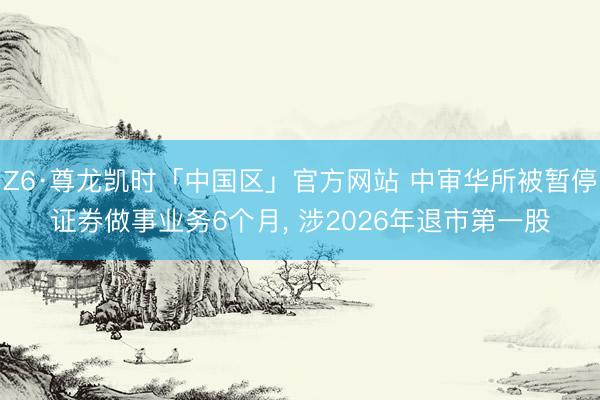 Z6·尊龙凯时「中国区」官方网站 中审华所被暂停证券做事业务6个月, 涉2026年退市第一股