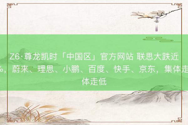 Z6·尊龙凯时「中国区」官方网站 联思大跌近8%，蔚来、理思、小鹏、百度、快手、京东，集体走低