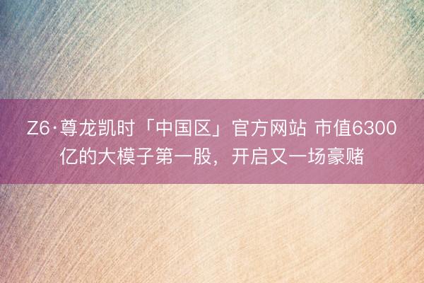 Z6·尊龙凯时「中国区」官方网站 市值6300亿的大模子第一股，开启又一场豪赌