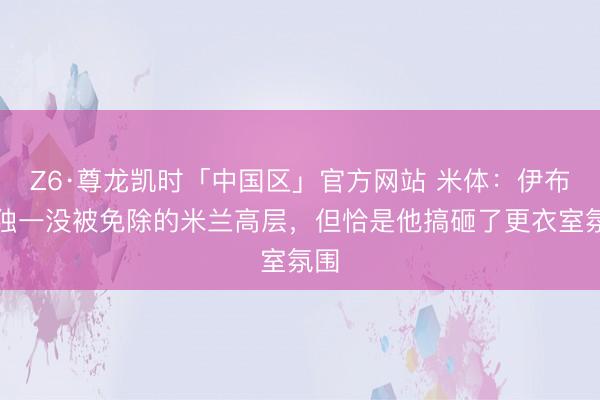 Z6·尊龙凯时「中国区」官方网站 米体:伊布成独一没被免除的米兰高层,但恰是他搞