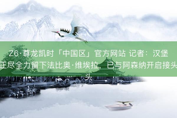 Z6·尊龙凯时「中国区」官方网站 记者：汉堡正尽全力留下法比奥·维埃拉，已与阿森纳开启接头