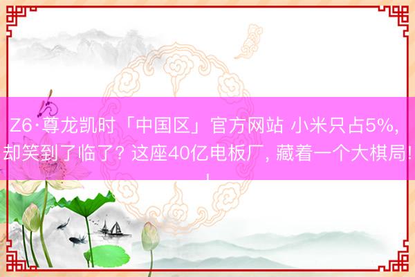 Z6·尊龙凯时「中国区」官方网站 小米只占5%， 却笑到了临了? 这座40亿电板厂， 藏着一个大棋局!