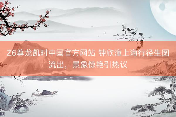 Z6尊龙凯时中国官方网站 钟欣潼上海行径生图流出，景象惊艳引热议