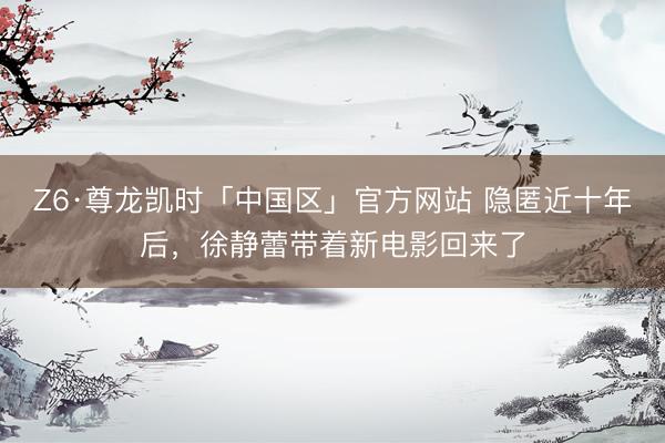 Z6·尊龙凯时「中国区」官方网站 隐匿近十年后,徐静蕾带着新电影回来了