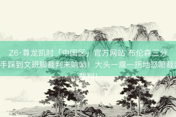 Z6·尊龙凯时「中国区」官方网站 布伦森三分动手踩到文班脚裁判未响哨！大头一瘸一拐地怒喷裁判！