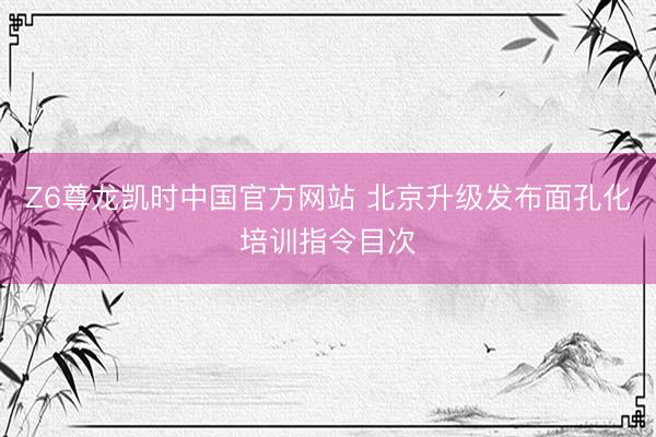 Z6尊龙凯时中国官方网站 北京升级发布面孔化培训指令目次