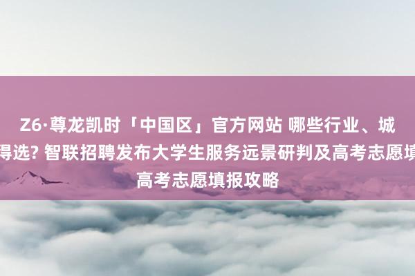 Z6·尊龙凯时「中国区」官方网站 哪些行业、城市最值得选? 智联招聘发布大学生服务远景研判及高考志愿填报攻略