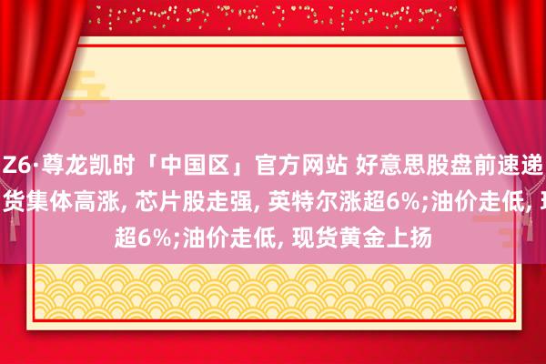 Z6·尊龙凯时「中国区」官方网站 好意思股盘前速递: 三大股指期货集体高涨， 芯片股走强， 英特尔涨超6%;油价走低， 现货黄金上扬