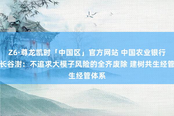 Z6·尊龙凯时「中国区」官方网站 中国农业银行董事长谷澍：不追求大模子风险的全齐废除 建树共生经管体系