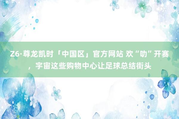 Z6·尊龙凯时「中国区」官方网站 欢“叻”开赛,宇宙这些购物中心让足球总结街头