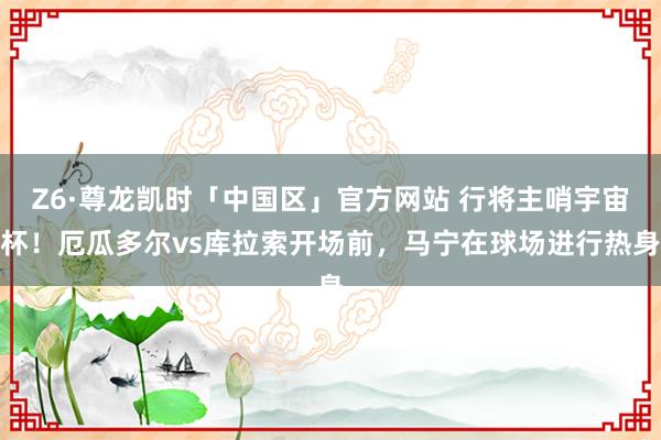 Z6·尊龙凯时「中国区」官方网站 行将主哨宇宙杯！厄瓜多尔vs库拉索开场前，马宁在球场进行热身